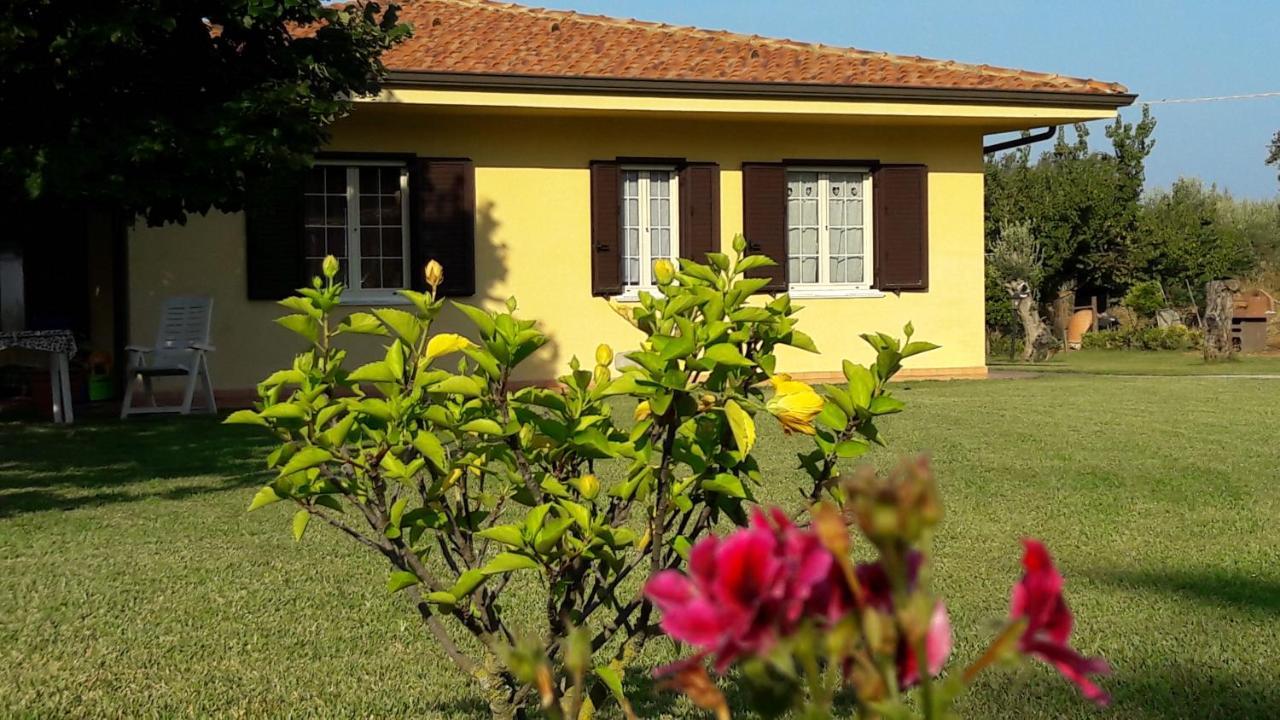Villa Mimosa Tropea Ricadi Exterior photo