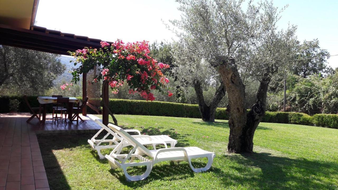 Villa Mimosa Tropea Ricadi Exterior photo