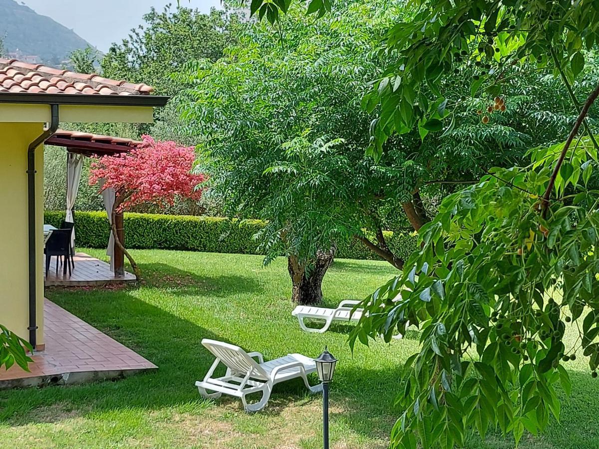 Villa Mimosa Tropea Ricadi Exterior photo