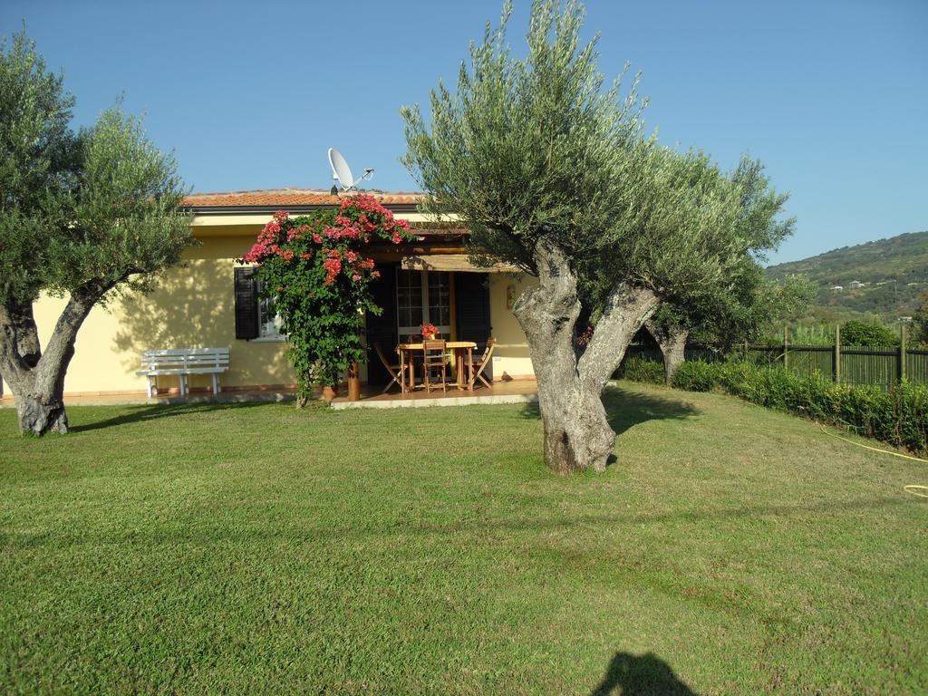 Villa Mimosa Tropea Ricadi Exterior photo